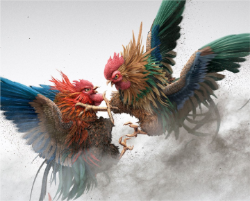 UBET95 - Cockfight