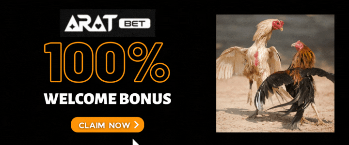 Aratbet 100% Deposit Bonus - The Role of Preparation and Essential Equipment Cockfighting