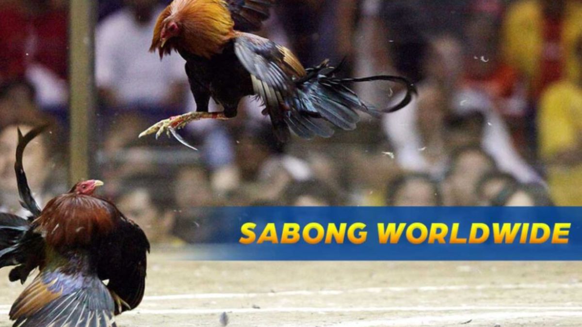 ubet95-basic-principles-sabong-cover-ubet95a
