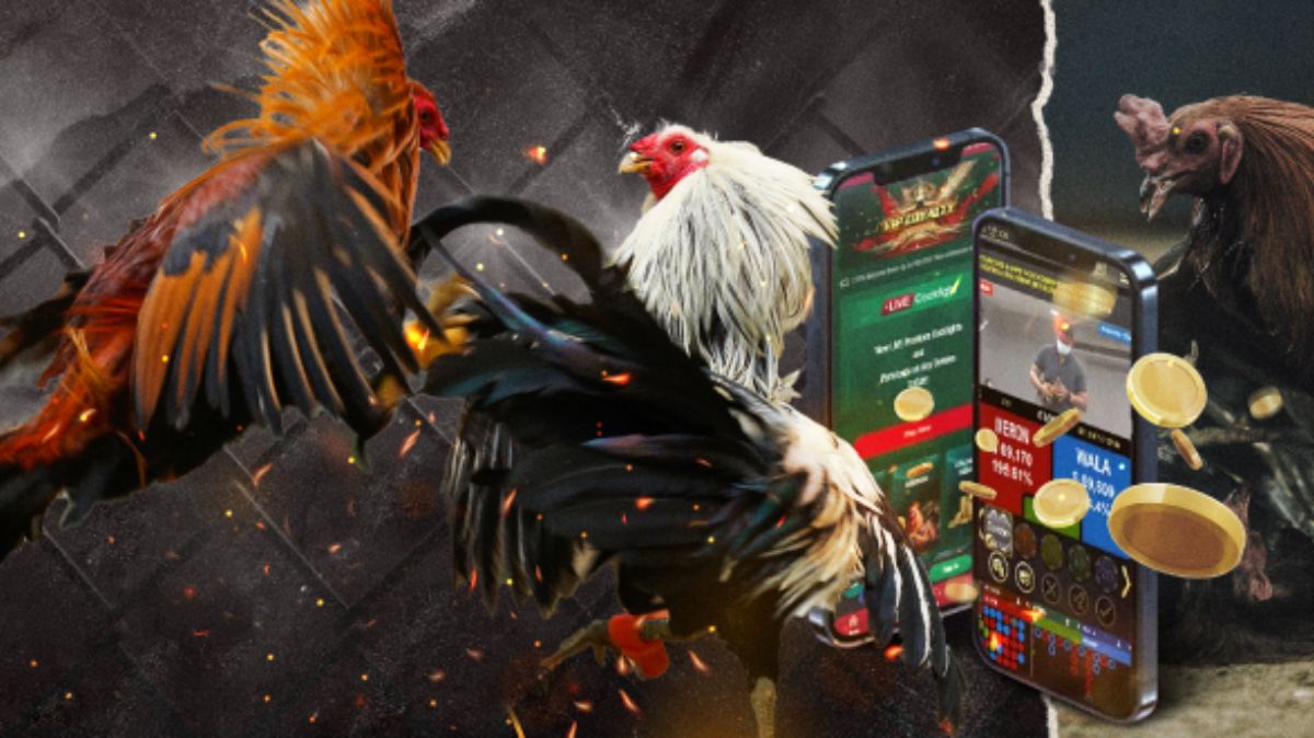 Ubet95 - 3 Tips para Mag-level Up Online na Sabong - Feature 2 - Ubet95a