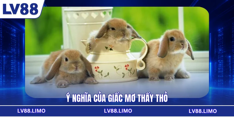 Ý nghĩa của giấc mơ thấy thỏ